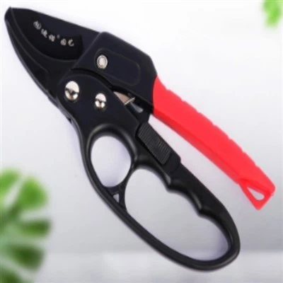 लाल और काले खंडों वाली प्रूनिंग शियर्स